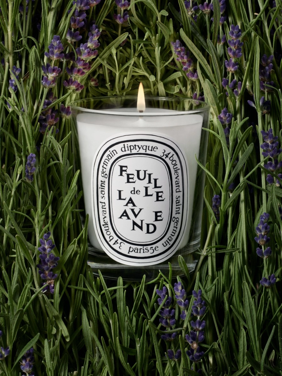 Feuille de Lavande (Lavender Leaf)
